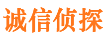 崇文寻人公司